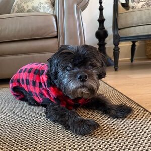 Meet your Posher, Rylie